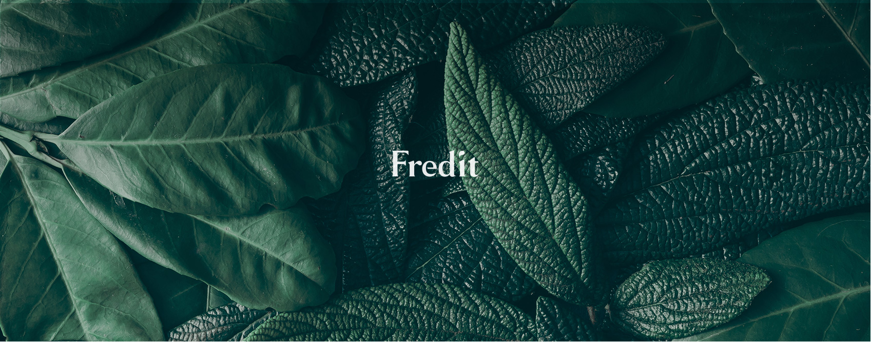 HY Fredit Shopping Platform